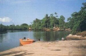 Cameroon’s Alleged Annexation of Nigerian Mangrove Islands