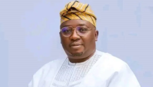 Nigeria Will Collaborate with Egypt to Learn Power Generation- Minister of Power, Adebayo Adelabu