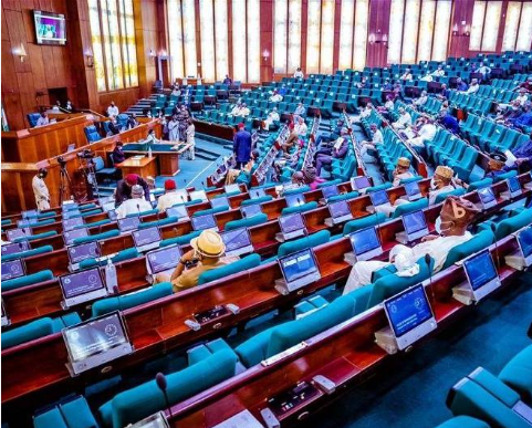 Bill To Make Voting Compulsory For Nigerians Passes Second Reading