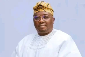 Minister Urges Nigerians to Brace for Higher Electricity Tariffs