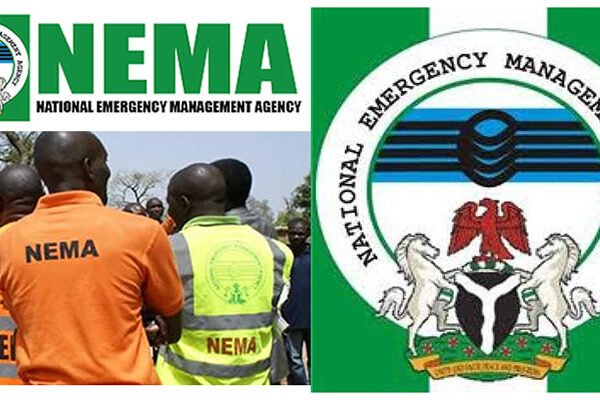 104 Nigerians Repatriated from Algeria Welcomed by NEMA NEMA Receives 104 Nigerian Returnees Repatriated from Algeria