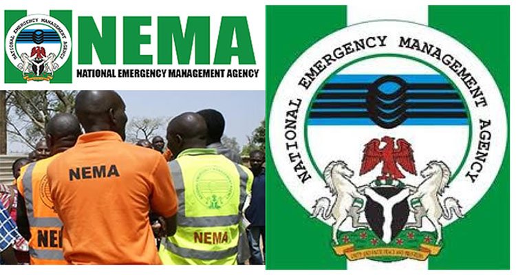 NEMA Receives 104 Nigerian Returnees Repatriated from Algeria