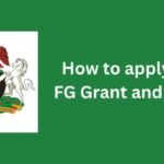 How Nigerian Youth Can Apply for FG’s ₦200,000 Loan
