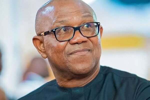 My Vow to Serve Only One Term of Dour Years is a Solemn Commitment - Peter Obi.