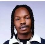Chaos at Cotonou: Fan Storms Stage to Attack Naira Marley