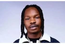 Chaos at Cotonou: Fan Storms Stage to Attack Naira Marley